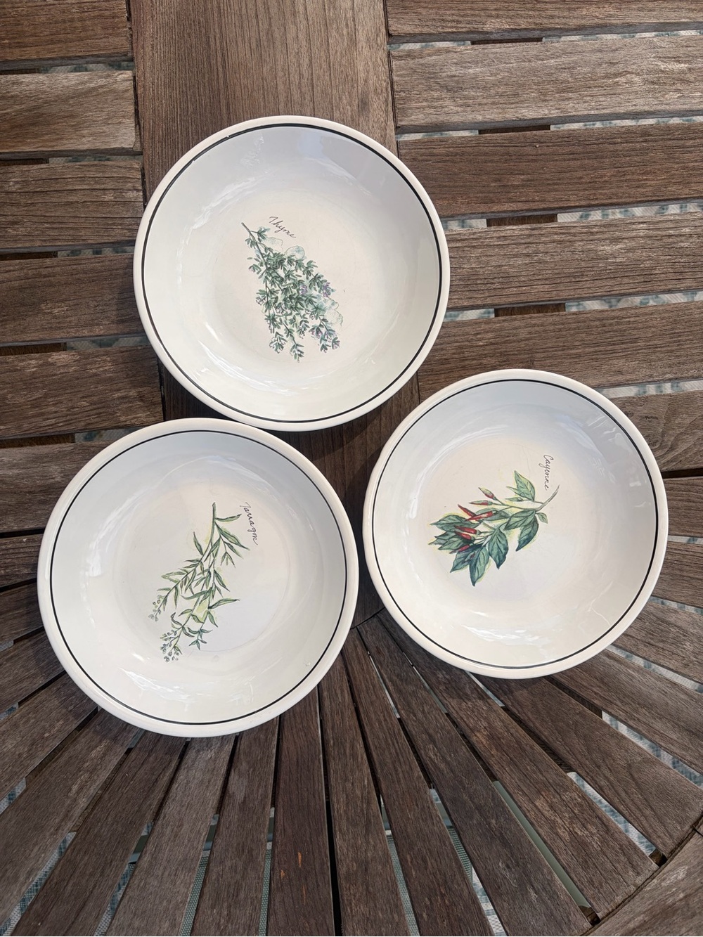 Williams Sonoma Culinary Herbs Pasta Bowls (set of 3) Thyme, Tarragon, Cayenne